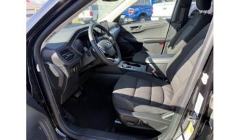 2023 Ford Escape full