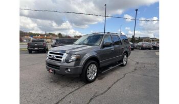 2014 Ford Expedition full