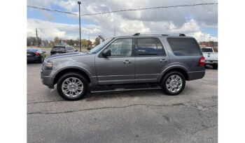 2014 Ford Expedition full