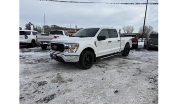 2021 Ford F-150 full