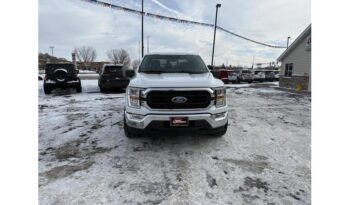 2021 Ford F-150 full