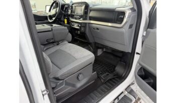 2021 Ford F-150 full