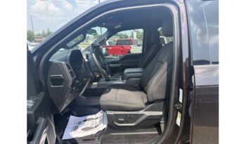 2020 Ford F-150 full