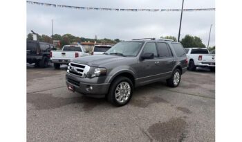 2014 Ford Expedition full