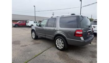 2014 Ford Expedition full